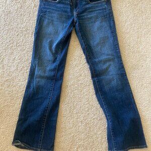 American Eagle Slim Boot Jean